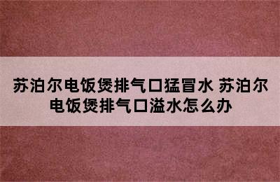 苏泊尔电饭煲排气口猛冒水 苏泊尔电饭煲排气口溢水怎么办